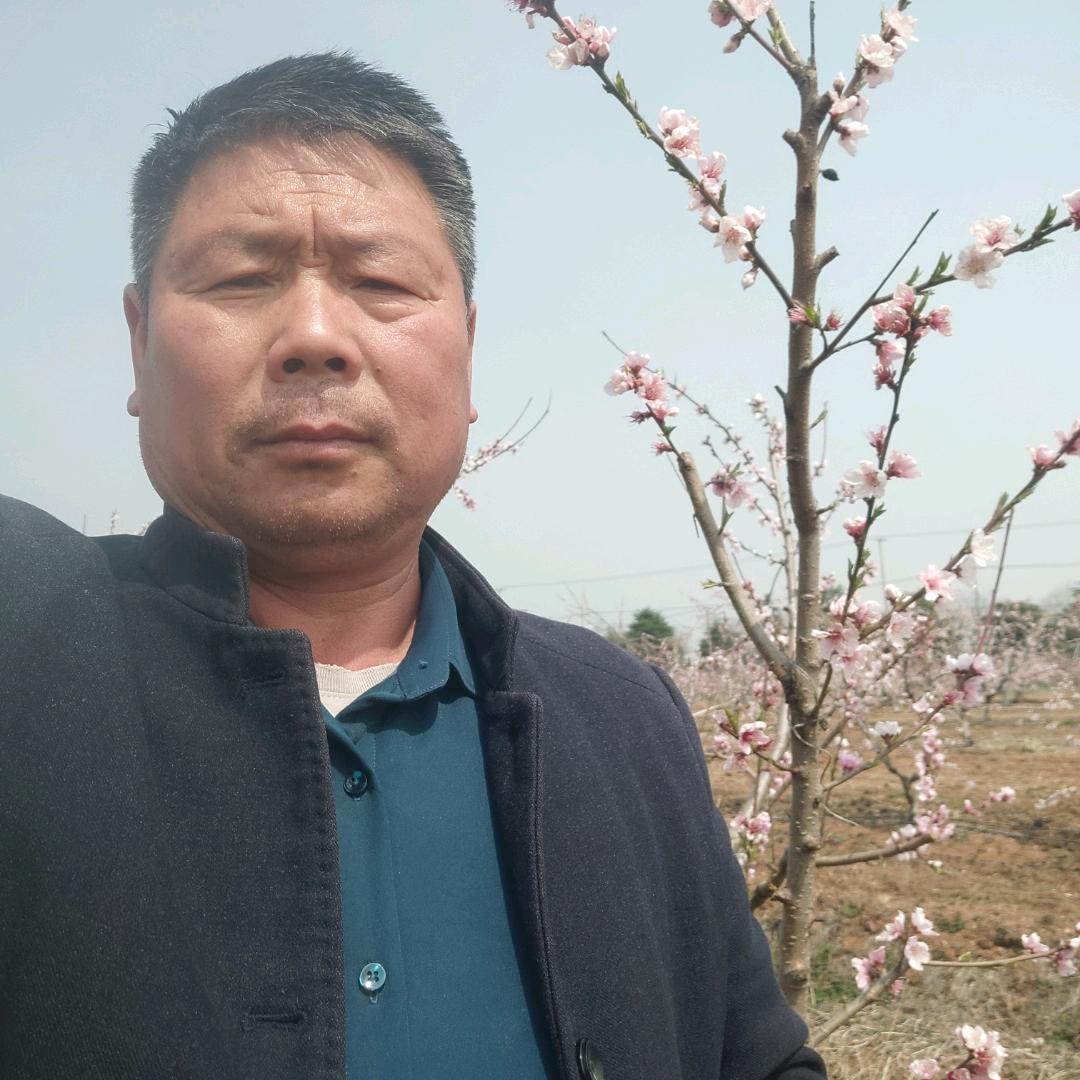 谢印洪