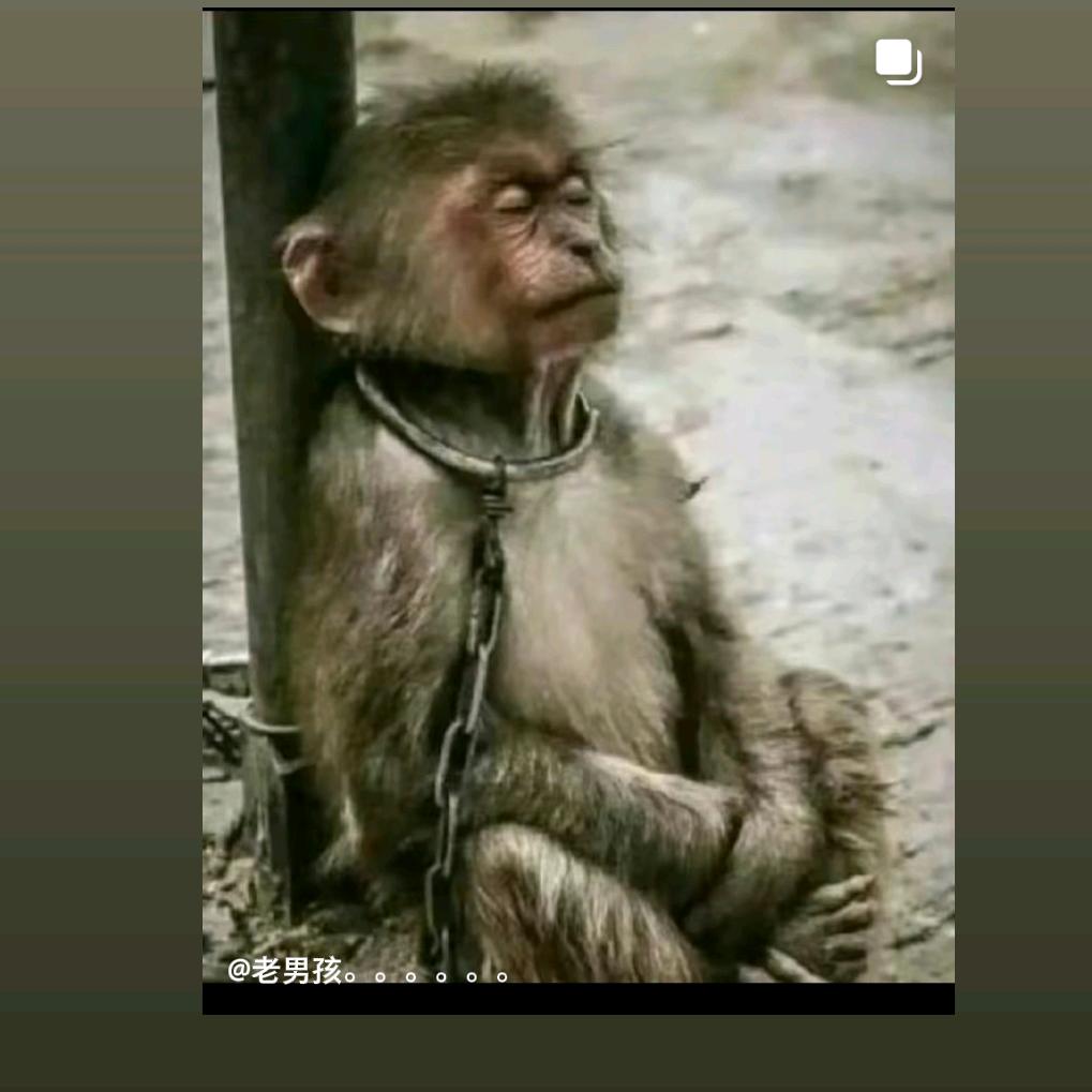老男孩。。。。。。
