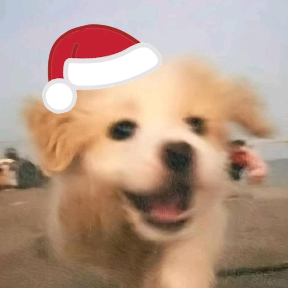 夏日入侵企画🌊