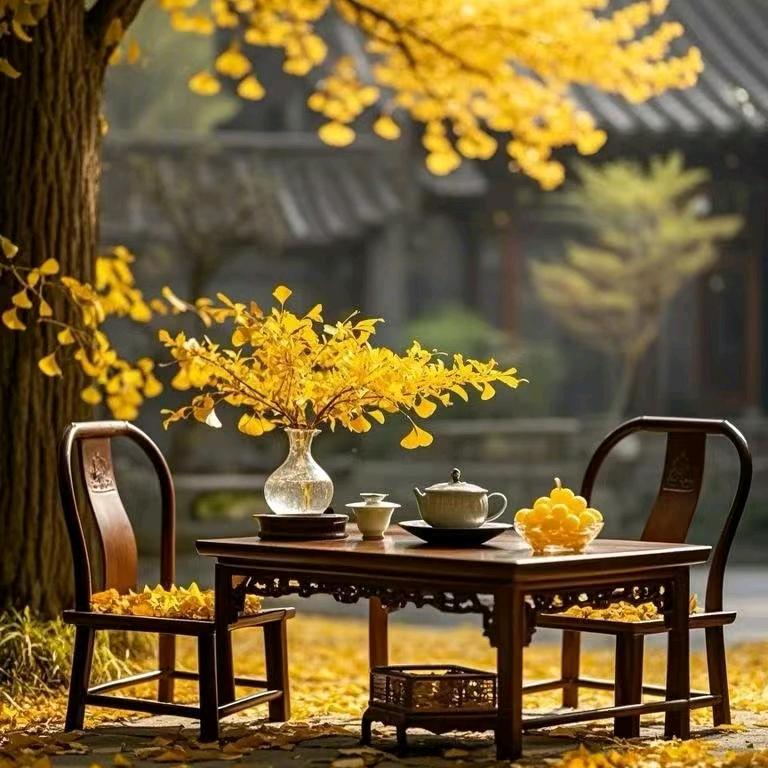 @观自在