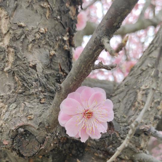 晴天有太阳🌞