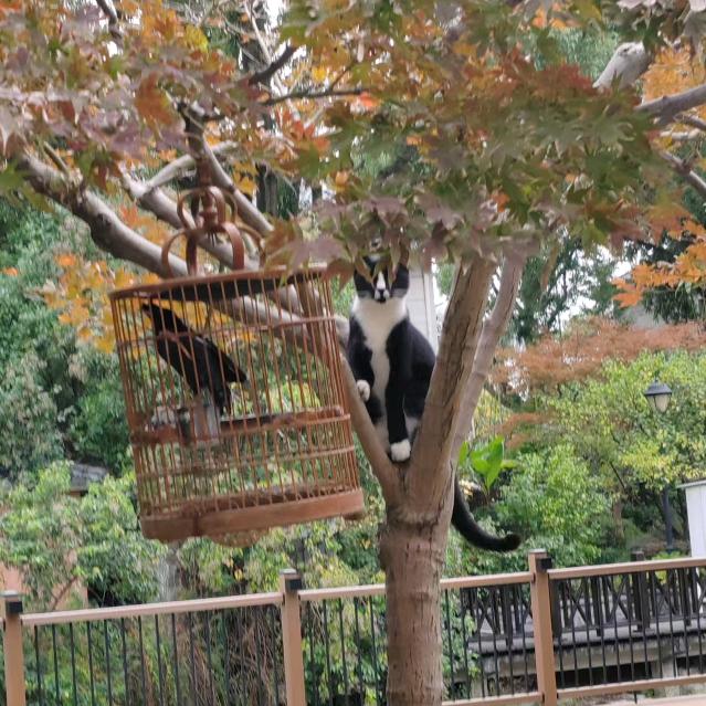 再看我把你吃掉头像