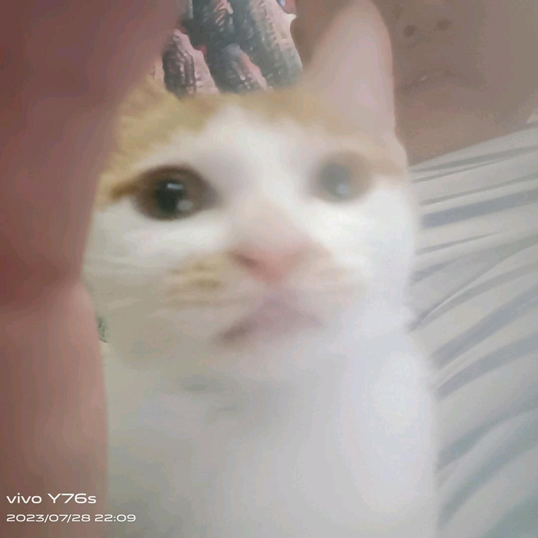 邓宇硕