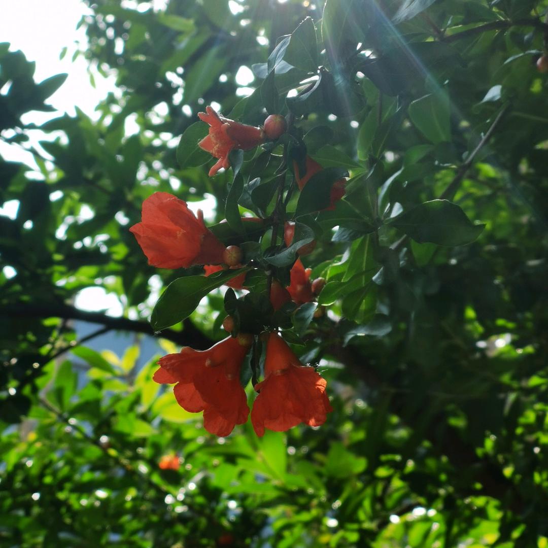 ********天空@********