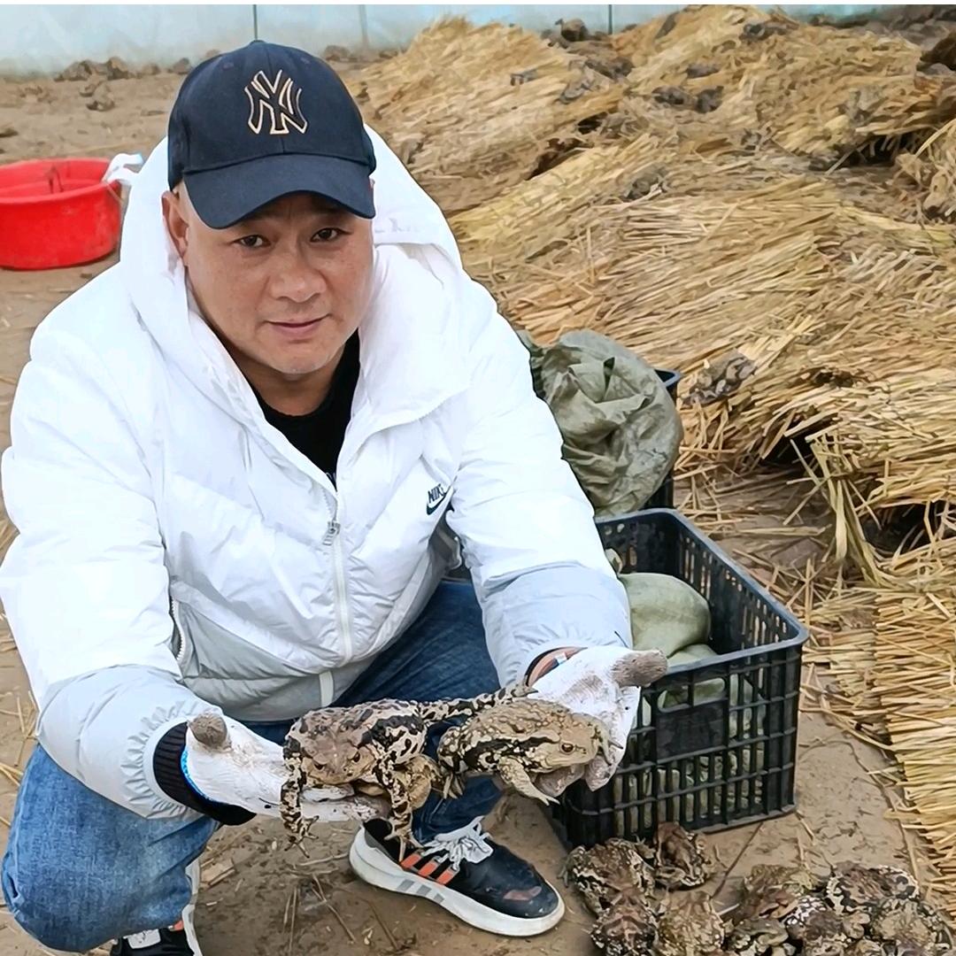 波涛药材养殖基地