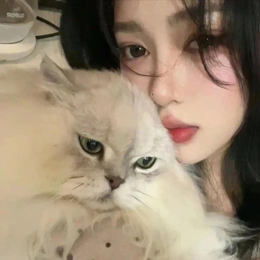 微醺小猫ᗜ𖥦ᗜ