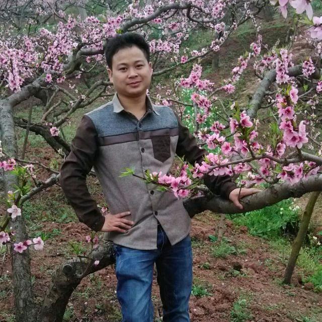 明天过后的明天