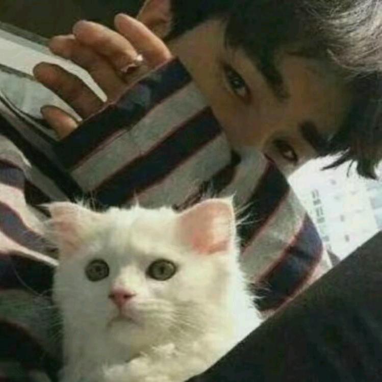 冰冷头像