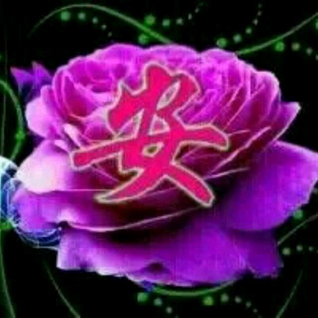 最美相遇