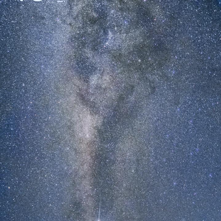 红鲤鱼与绿鲤鱼与驴c