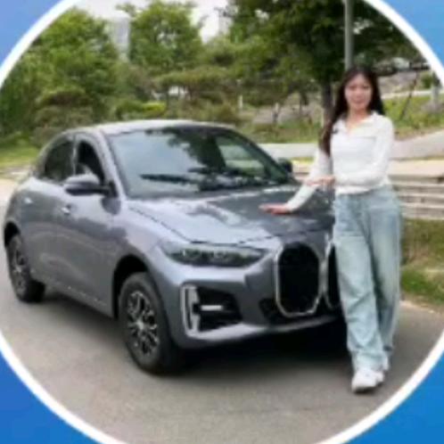 莉伊特新能源代步车