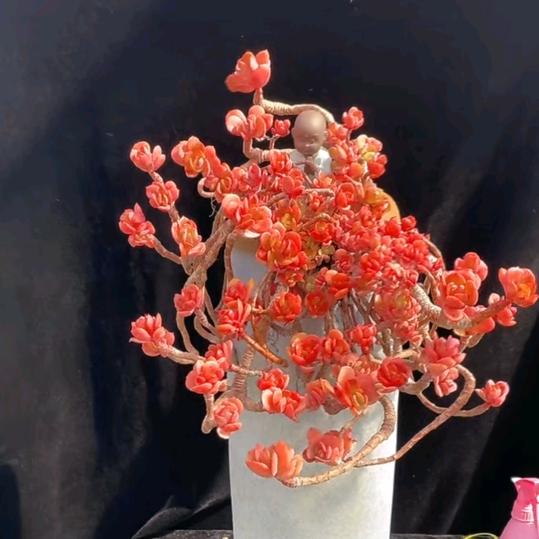 巨田家具，香玉