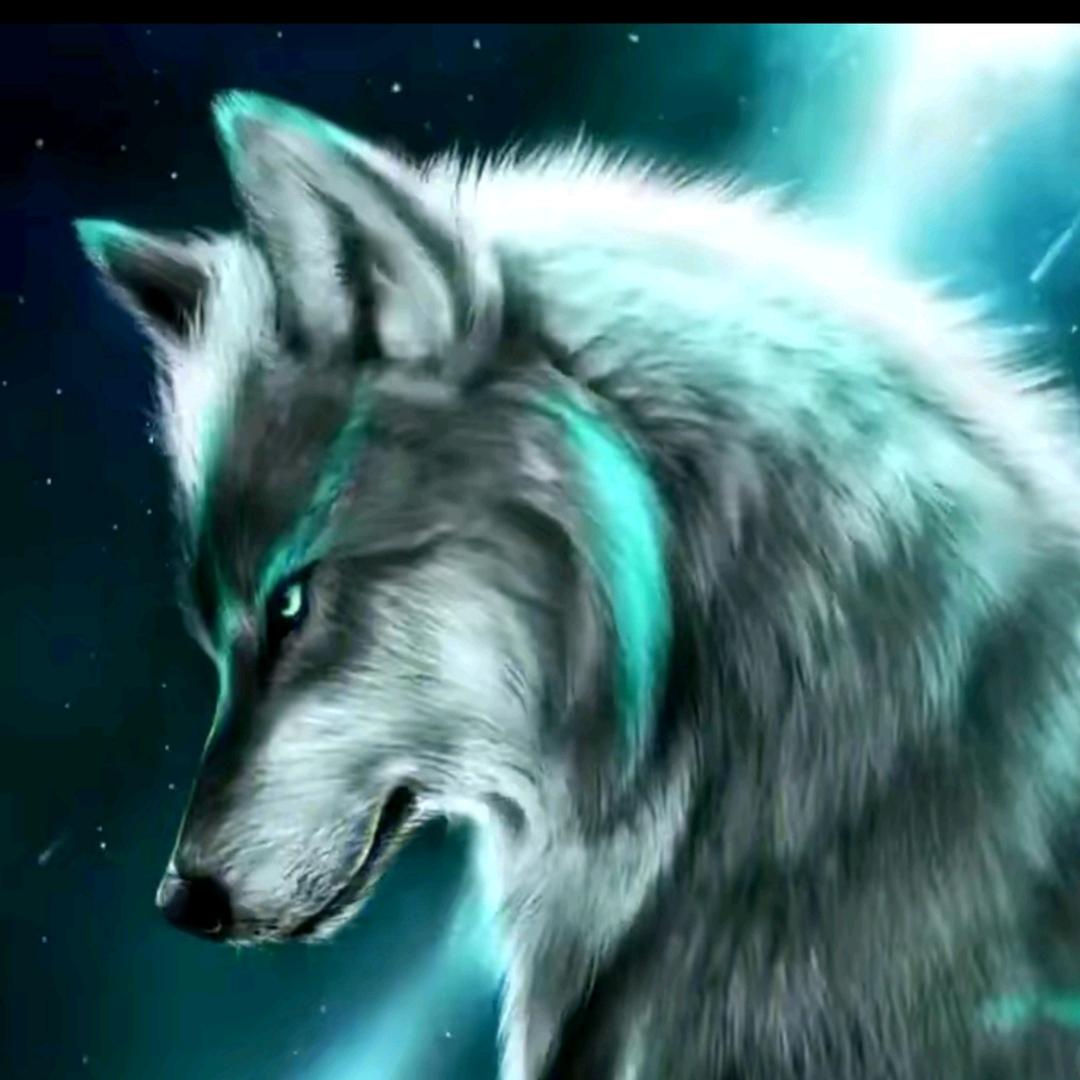 （AA流金岁月）