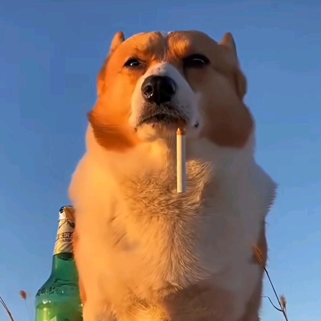 黑水