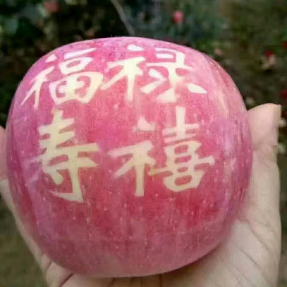 用户2531543948578