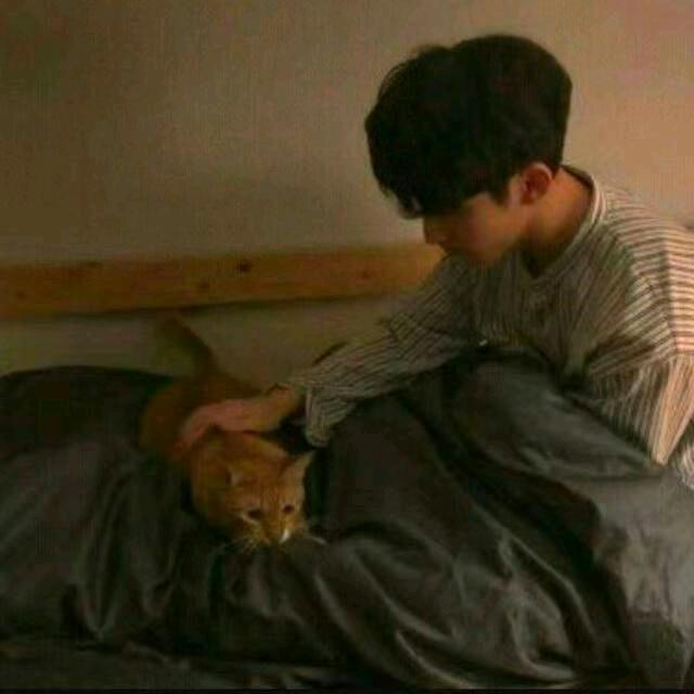 .l