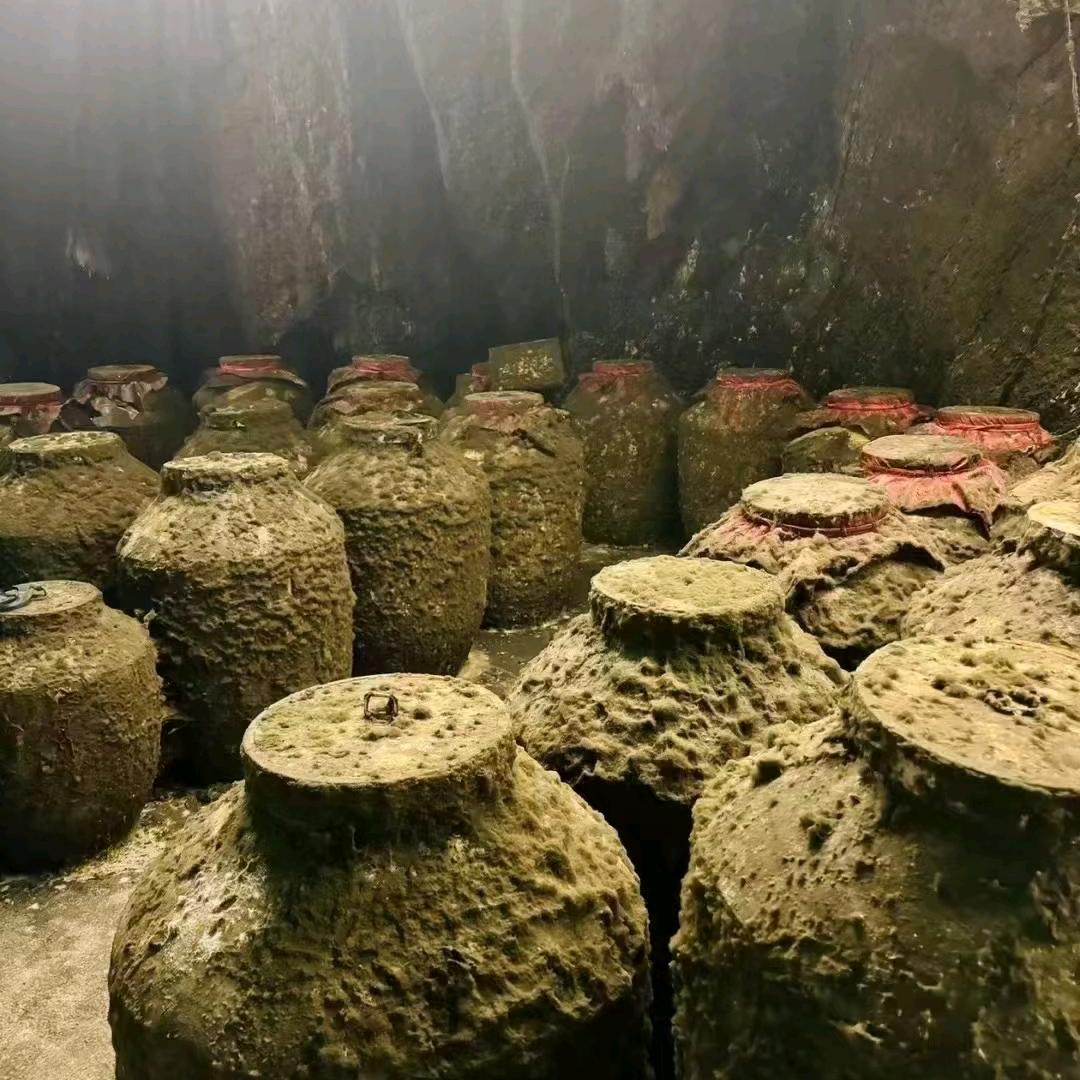 茅台酒真好喝。开心的二姐