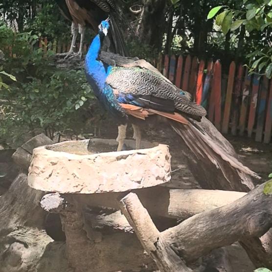 暗苦無人知