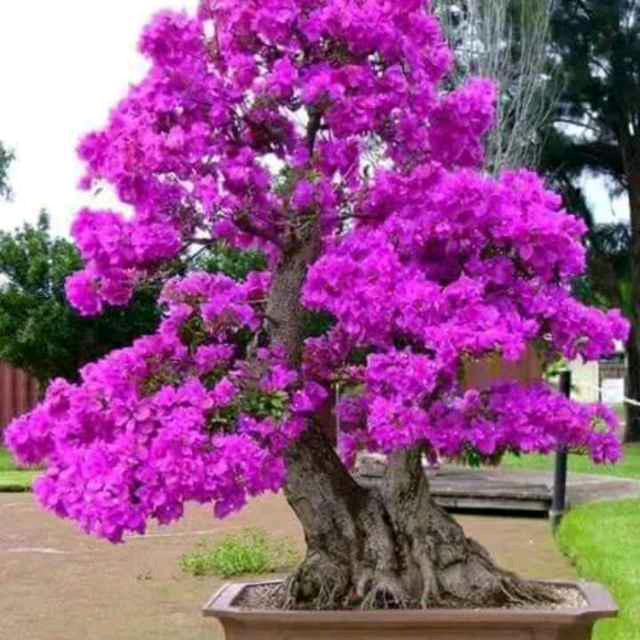 今生有你✪ω✪陪伴