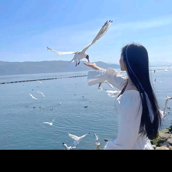 楠茜
