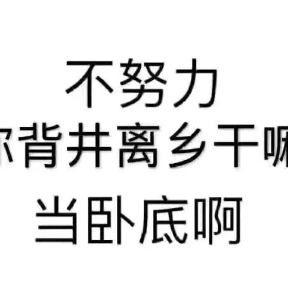 零℃🥂阳光
