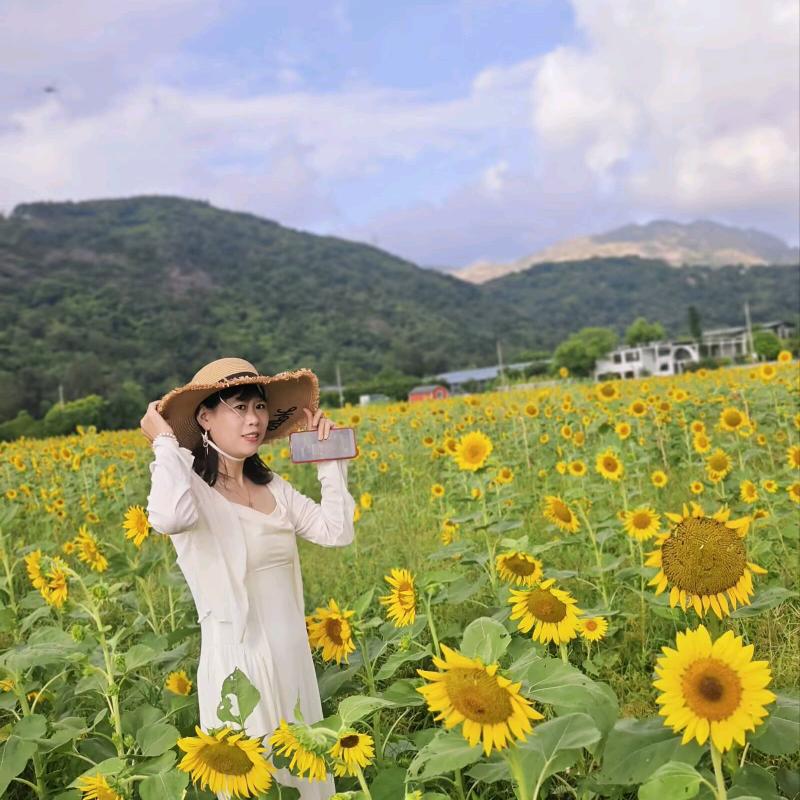 凉茹梦～轻茹烟