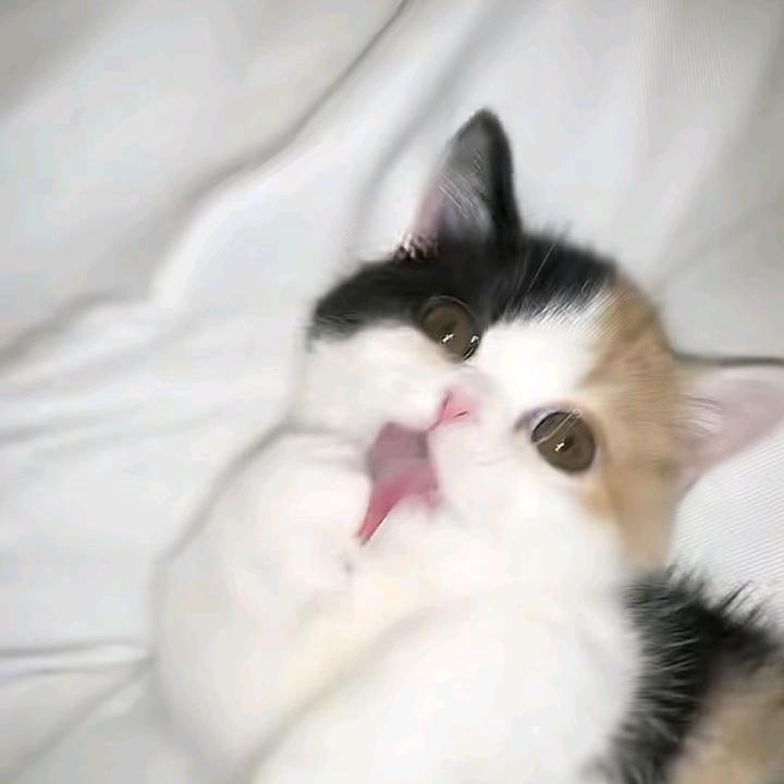 UUUa