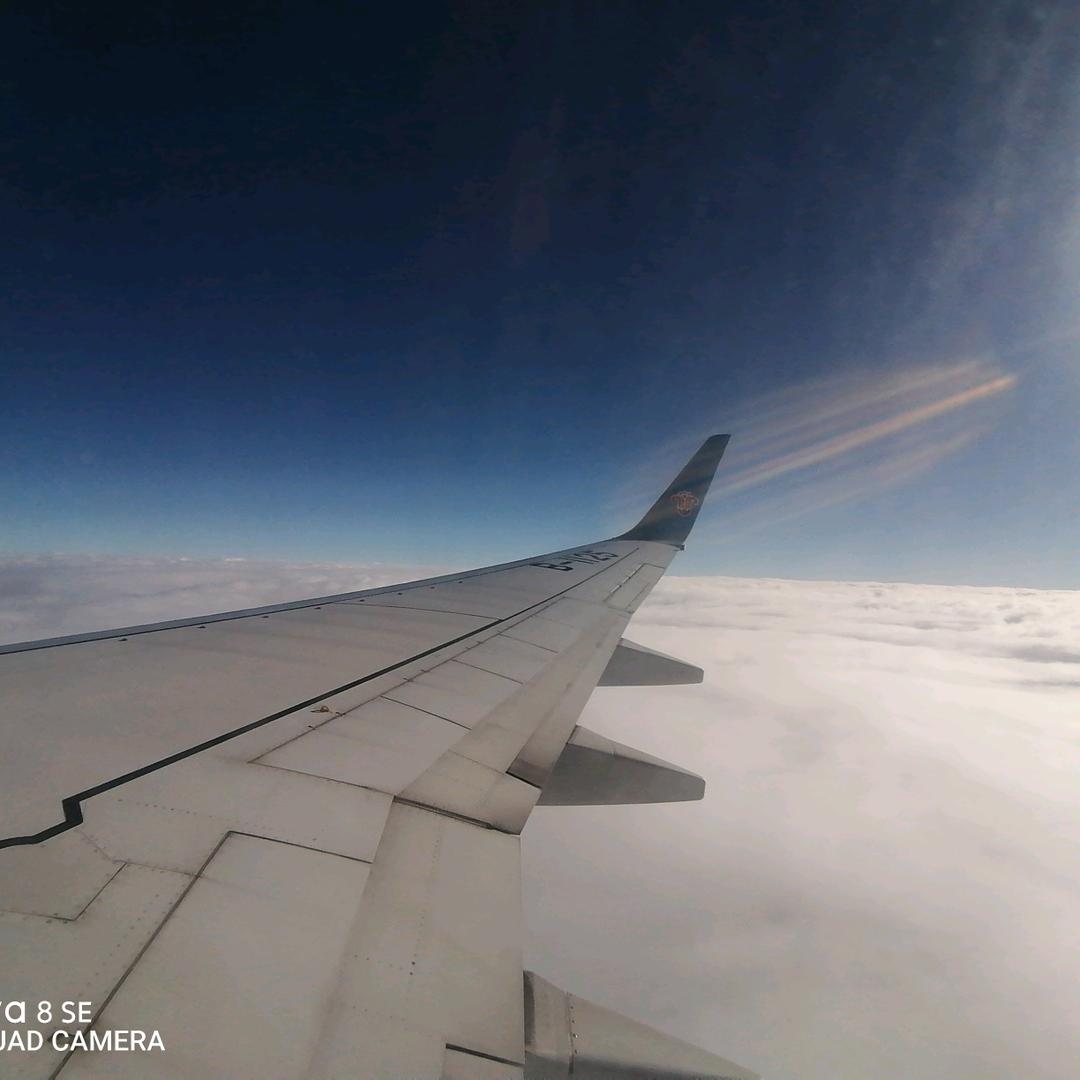 └（★ｏ★）┐