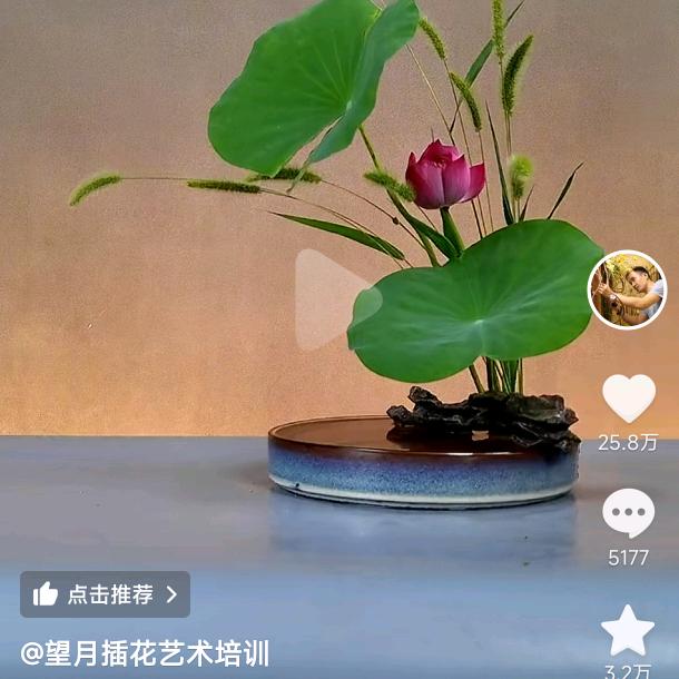 飘逸