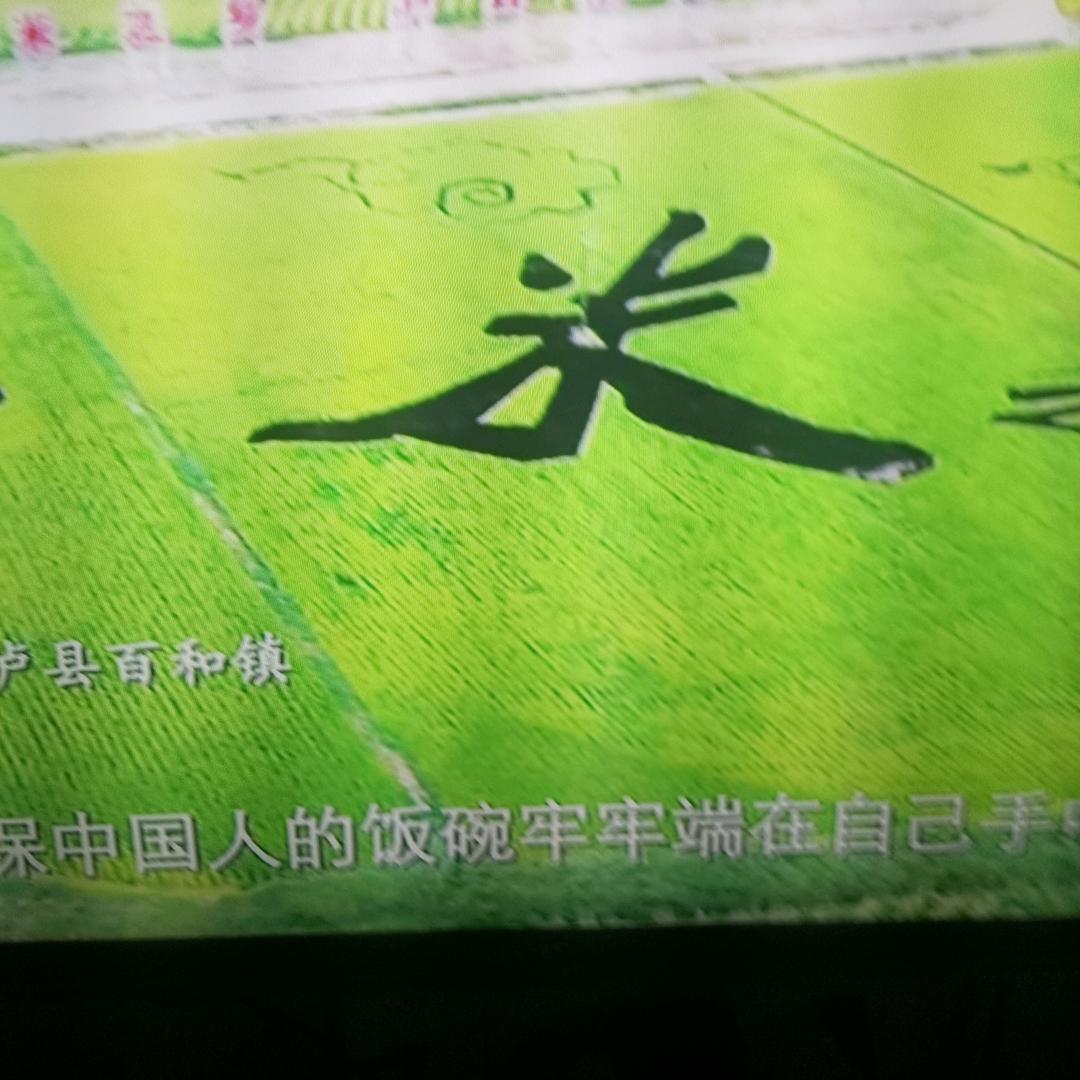 苦菜花