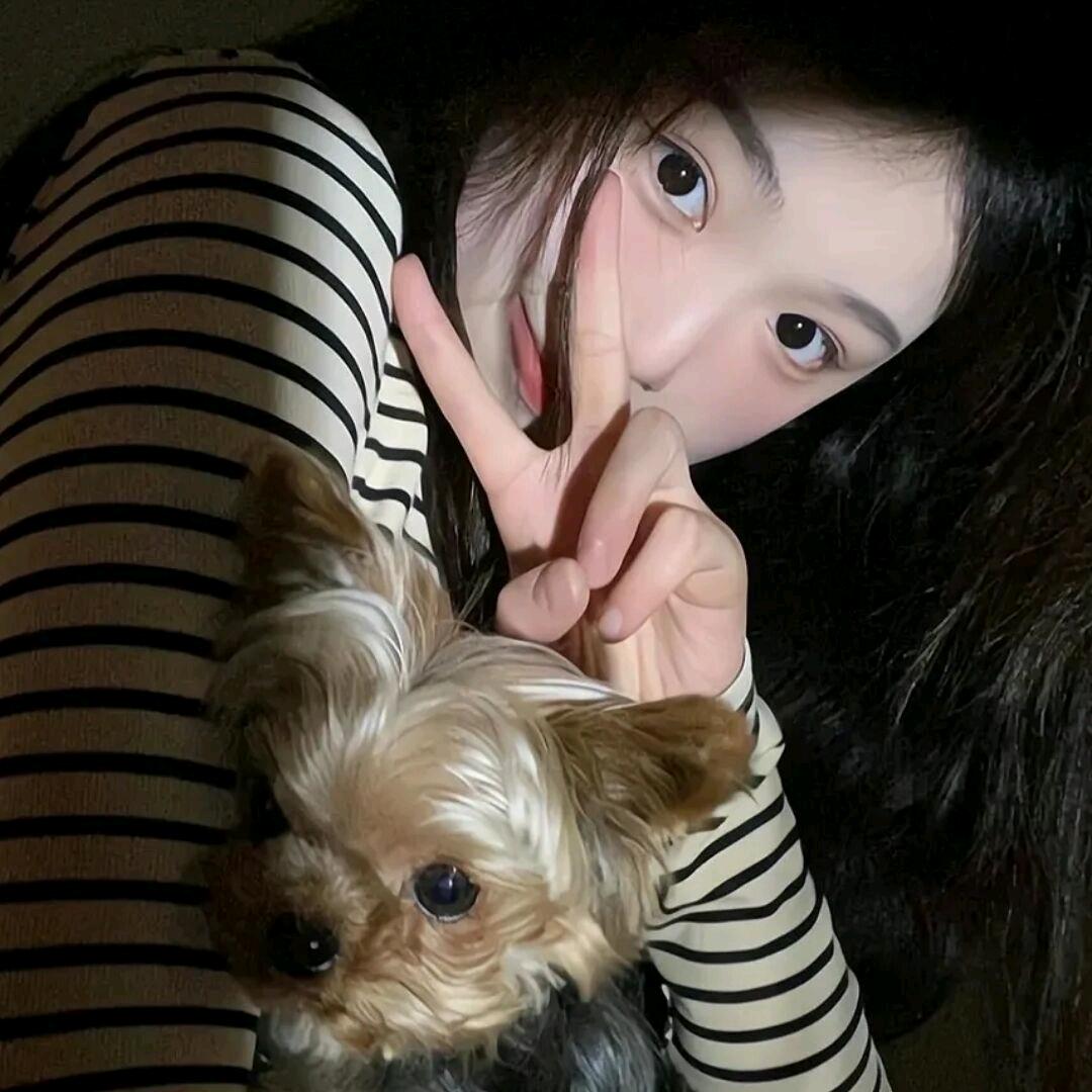 小七崽崽🐾