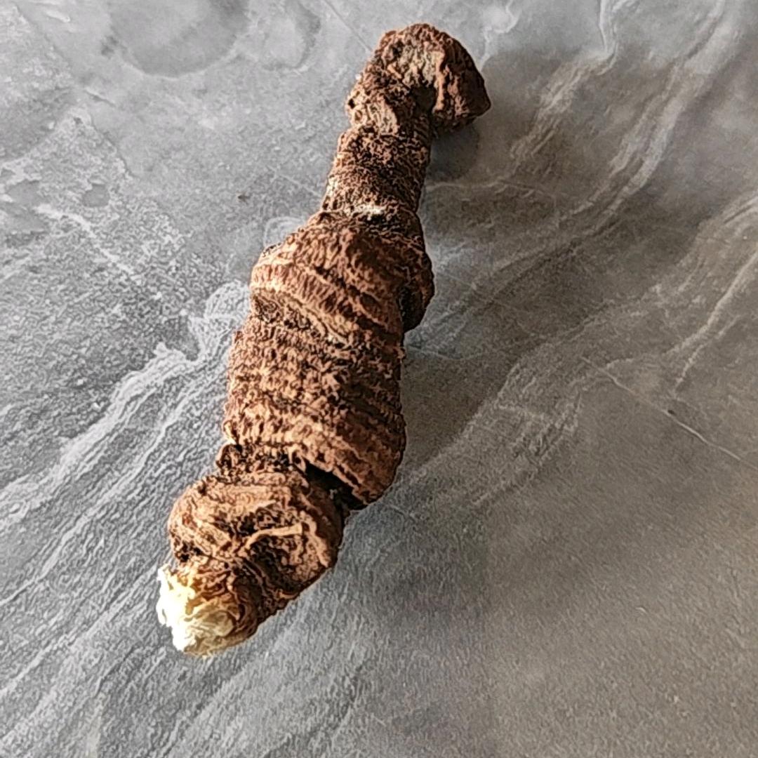 一切安好