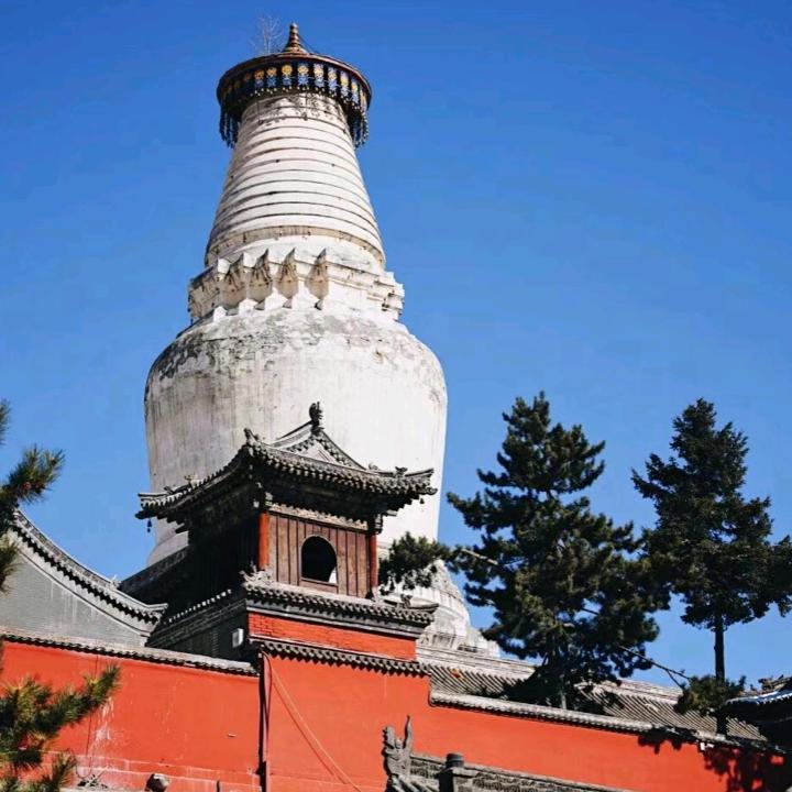 山西星芒文化传媒有限公司-小任