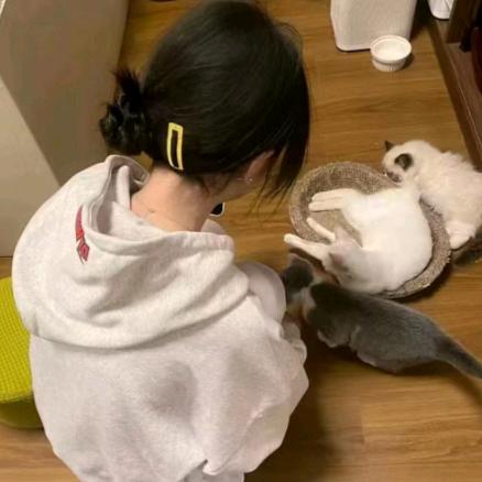 金