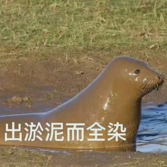 ʚ墙外行人ɞ❄️ˣᵘᵉ