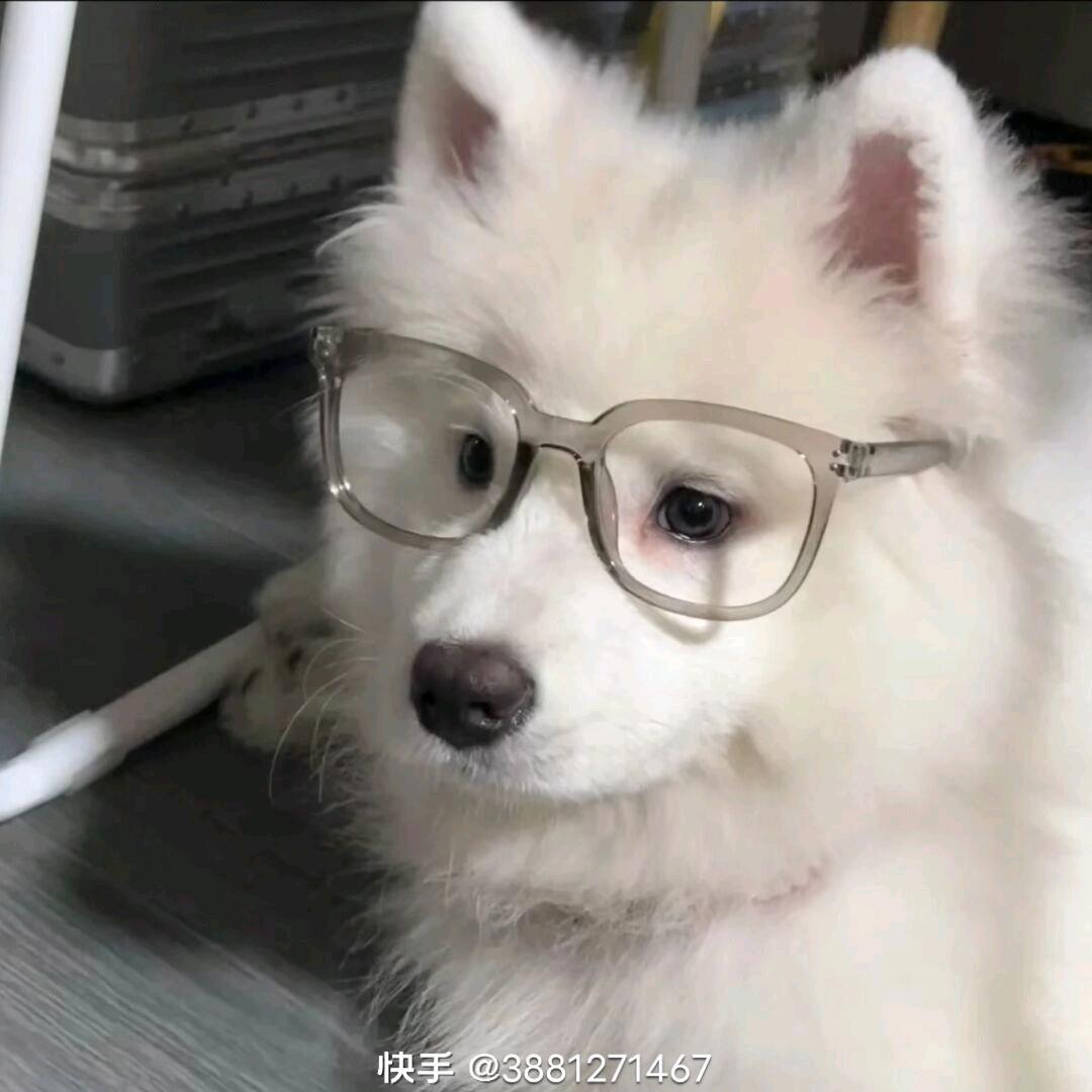 祝今會.