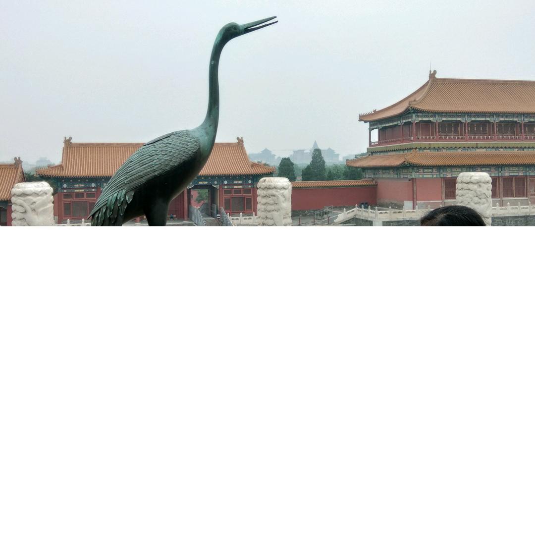 秋果实