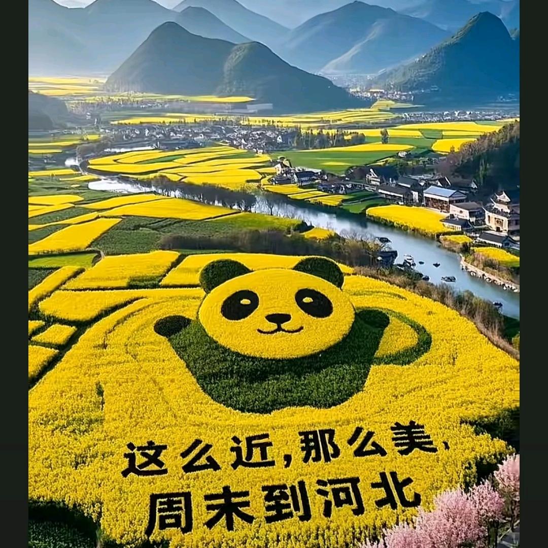 时光✌✌