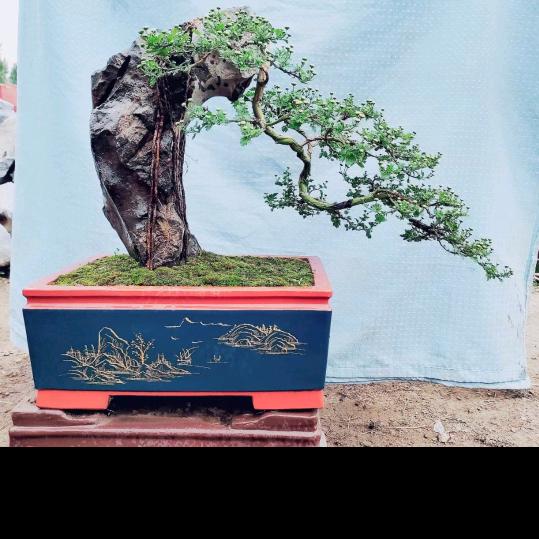 京宣紫砂厂家直销
