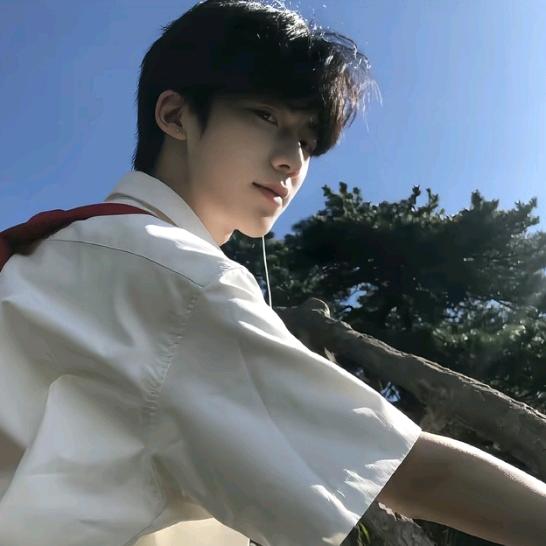 什么鑫