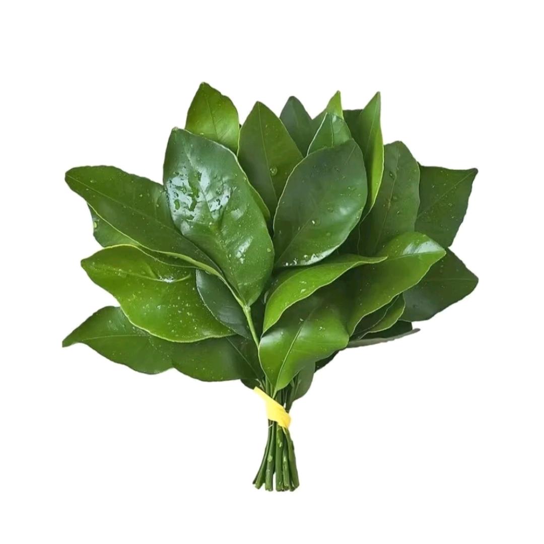 R…