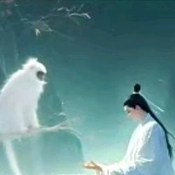 莫挨@哥（lx）