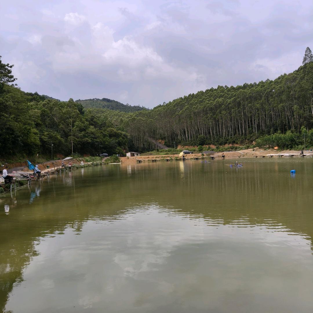 佛山鑫达钓鱼场
