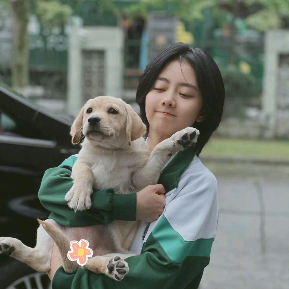 晶晶家的小宝贝