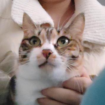 神马！给我看看！👀