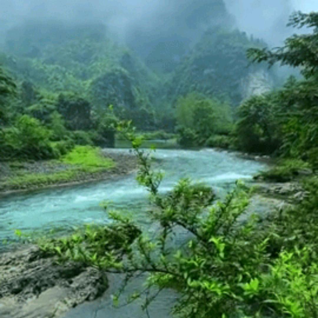 岁月匆匆我的抖音已关闭请无需点赞