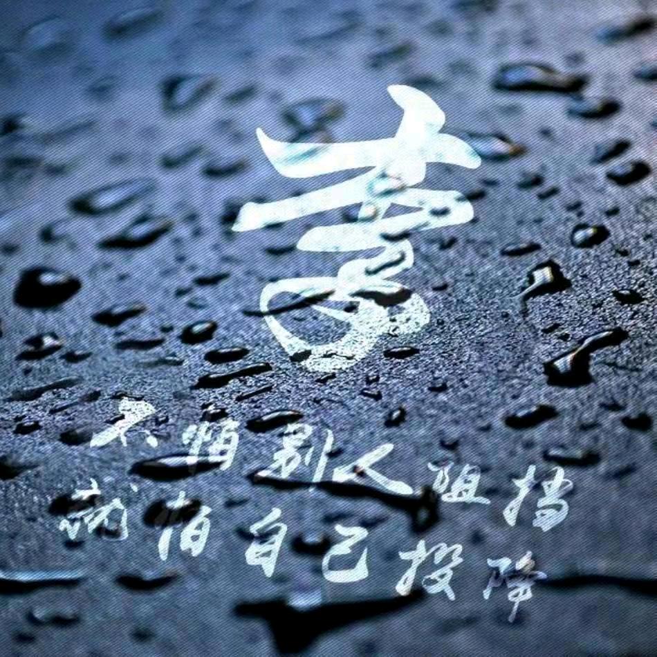 🎸李的农家菜💥