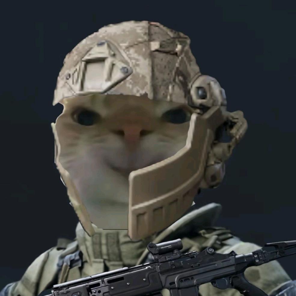 孤单听雨的猫。