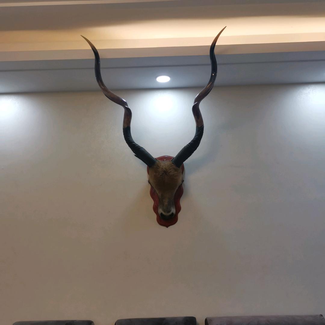 吉得米