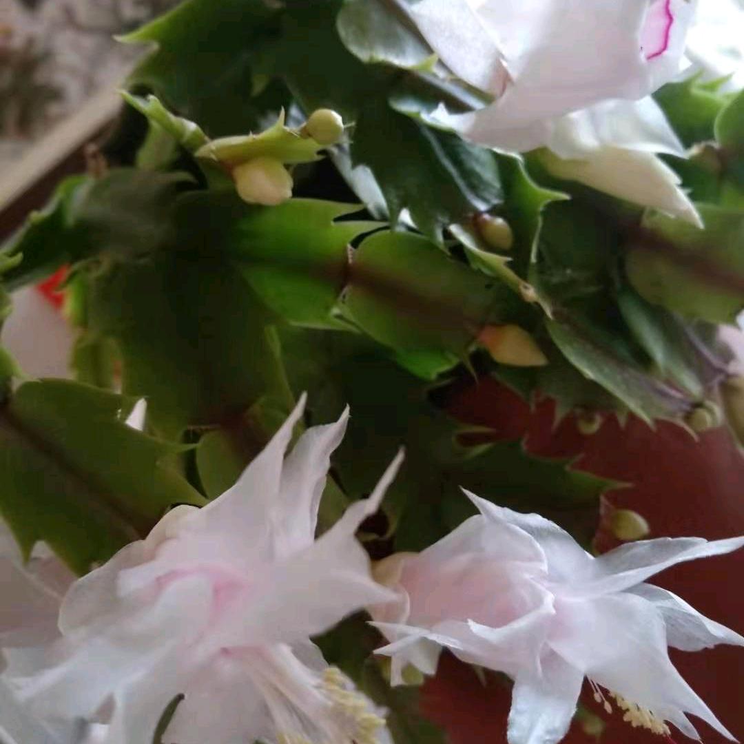 快乐🙂🙂🙂🙂🙂